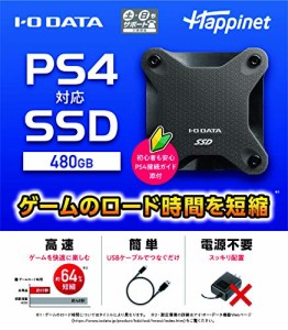 PS4対応 外付けSSD 480GB