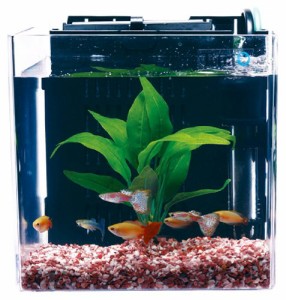 テトラ (Tetra) スマート熱帯魚飼育セットSP-17TF