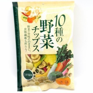 味源 10種の野菜チップス 110g*2個