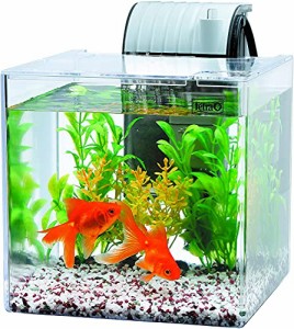 ＊最安挑戦＊テトラ (Tetra) テトラ 静かな金魚飼育セット SF-17GF 水槽 アクアリウム