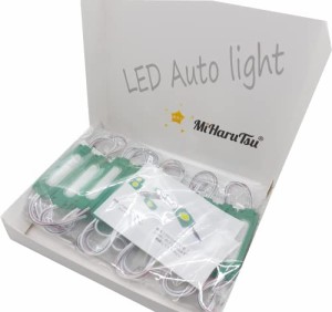 ＊最安挑戦＊MiHaruTsu (ミハルツ) 12V LEDマーカーランプ球 LED ライト マーカー ランプ 球 トラックサイドマーカーダウンライト マーカ