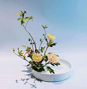 買蔵交換 花器 大495 剣山受付 陶器 水盤 花瓶 フラワーベース 花瓶