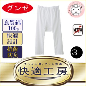 グンゼ 快適工房 半ズボン下 大きいサイズ メンズ GUNZE ステテコ ズボン下 前あき フライス 綿100% 日本製 3L 紳士 男性 肌着 下着 イ