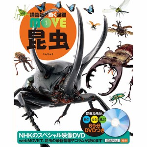 動く図鑑move 昆虫 Dvd付き 子供 赤ちゃん 幼児 おすすめ 人気 知育 誕生日 誕生日プレゼント 出産祝いの通販はau Wowma ワウマ ニコリ 商品ロットナンバー
