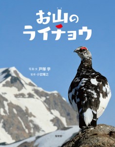 お山のライチョウ/戸塚学/・文小宮輝之