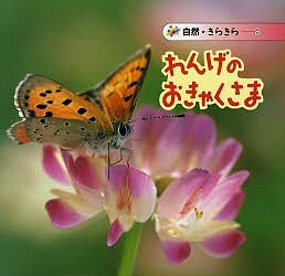 れんげのおきゃくさま/七尾純/久保秀一