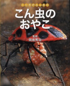 こん虫のふしぎ 5/岡島秀治/ネイチャー・プロ編集室