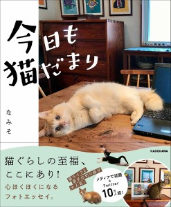 今日も猫だまり/なみそ