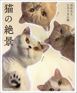 猫の絶景/みかんとじろうさん家