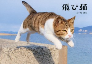 飛び猫/五十嵐健太
