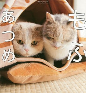 もふあつめ 映画「ねこあつめの家」Official Photo Book/Ｈｉｔ‐Ｐｏｉｎｔ「映画ねこあつめ」製作委員会