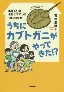 うちにカブトガニがやってきた!? 生きている化石とすごした1年と2か月/石井里津子/松本麻希