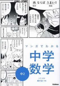 マンガでわかる中学数学中2/ソウ/霧中望