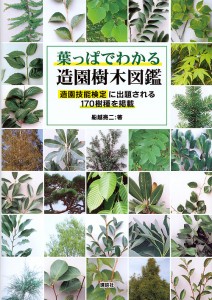 葉っぱでわかる造園樹木図鑑 造園技能検定に出題される170樹種を掲載/船越亮二