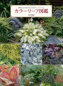 カラーリーフ図鑑 明度と高さの組み合わせで庭をグレードアップする/山本規詔