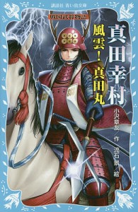 真田幸村 風雲!真田丸/小沢章友/流石景