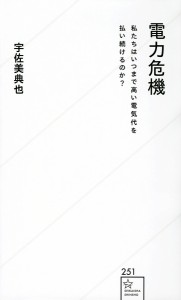 電力危機 私たちはいつまで高い電気代を払い続けるのか?/宇佐美典也