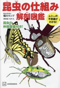 昆虫の仕組み解剖図鑑 ムシたちの不思議がわかる!/堀川ランプ