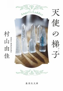 天使の梯子/村山由佳