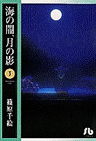 海の闇、月の影 3/篠原千絵