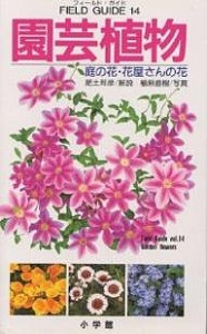 園芸植物 庭の花・花屋さんの花/肥土邦彦