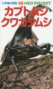 カブトムシ・クワガタムシ/小池啓一/・企画構成鈴木知之/新開孝