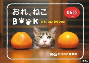 DVDブック Eテレ0655 おれ、ねこ