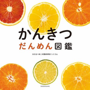 かんきつだんめん図鑑/わたなべまこ＠豊洲市場ドットコム