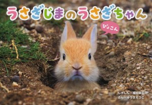 うさぎじまのうさぎちゃん/福田幸広しゃしんゆうきえつこ