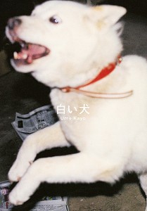 白い犬/梅佳代