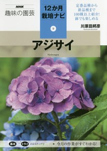 アジサイ/川原田邦彦