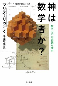 神は数学者か? 数学の不可思議な歴史/マリオ・リヴィオ/千葉敏生