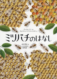 ミツバチのはなし/ピョトル・ソハ/ヴォイチェフ・グライコフスキ/武井摩利