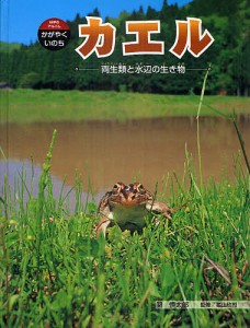 カエル 両生類と水辺の生き物/関慎太郎/福山欣司