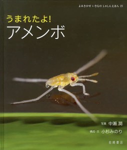 うまれたよ!アメンボ/中瀬潤/小杉みのり