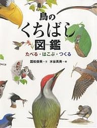 鳥のくちばし図鑑 たべる・はこぶ・つくる/国松俊英/水谷高英