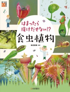 食虫 植物の通販｜au PAY マーケット