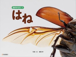 虫のからだ 1/新開孝