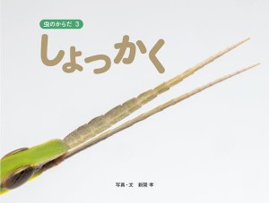 虫のからだ 3/新開孝