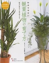 わかりやすい観葉植物の育て方 人気80種のカタログ付き 栽培の基本から寄せ植えまで