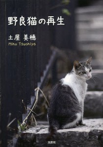 野良猫の再生/土屋美穂