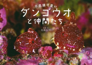 不思議可愛いダンゴウオと仲間たち/佐藤長明