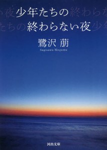 少年たちの終わらない夜 新装版/鷺沢萠