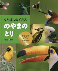 のやまのとり キツツキ・オウム・ハチドリほか