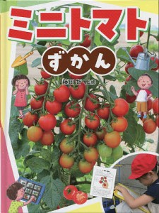 ミニトマトの通販｜au PAY マーケット