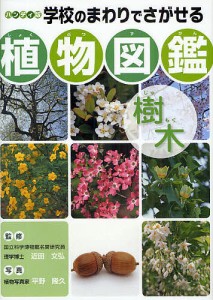 学校のまわりでさがせる植物図鑑 ハンディ版 樹木/平野隆久