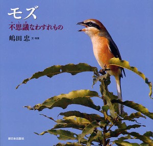 モズ 不思議なわすれもの/嶋田忠