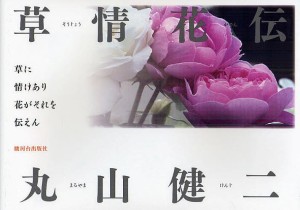 草情花伝/丸山健二