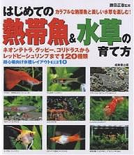 はじめての熱帯魚&水草の育て方 カラフルな熱帯魚と美しい水草を楽しむ!