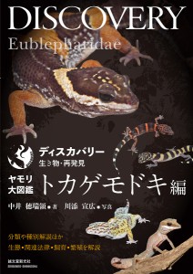 ヤモリ大図鑑 トカゲモドキ編/中井穂瑞領/川添宣広